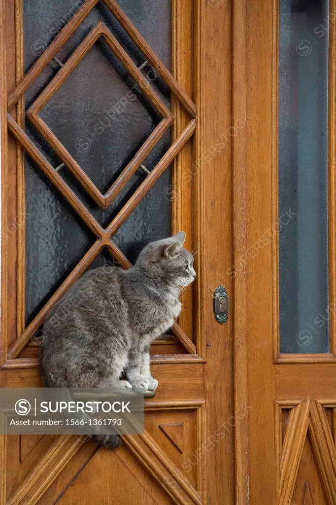 Waiting by the Door.