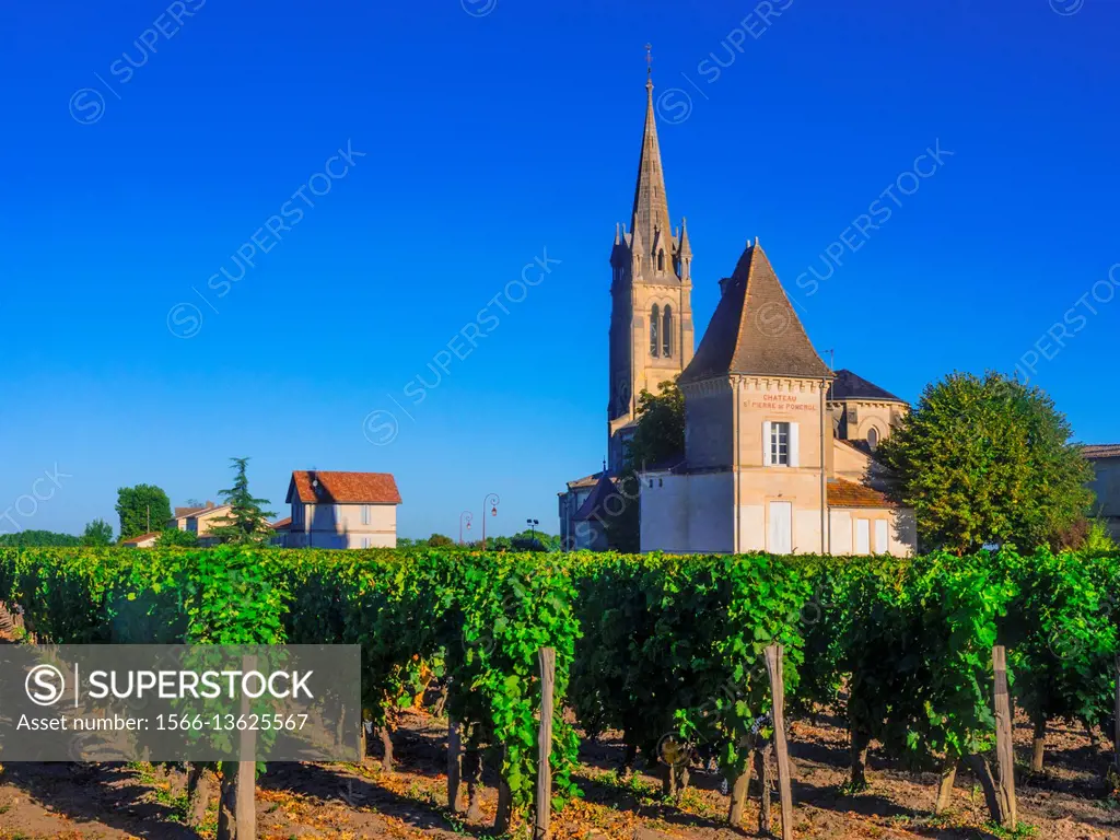 France, Aquitaine, Gironde. ""Pomerol"" , one of the famed Bordeaaux wunes district.