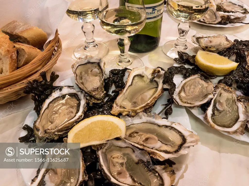 France, Food- ""Huitres"" (oysters).