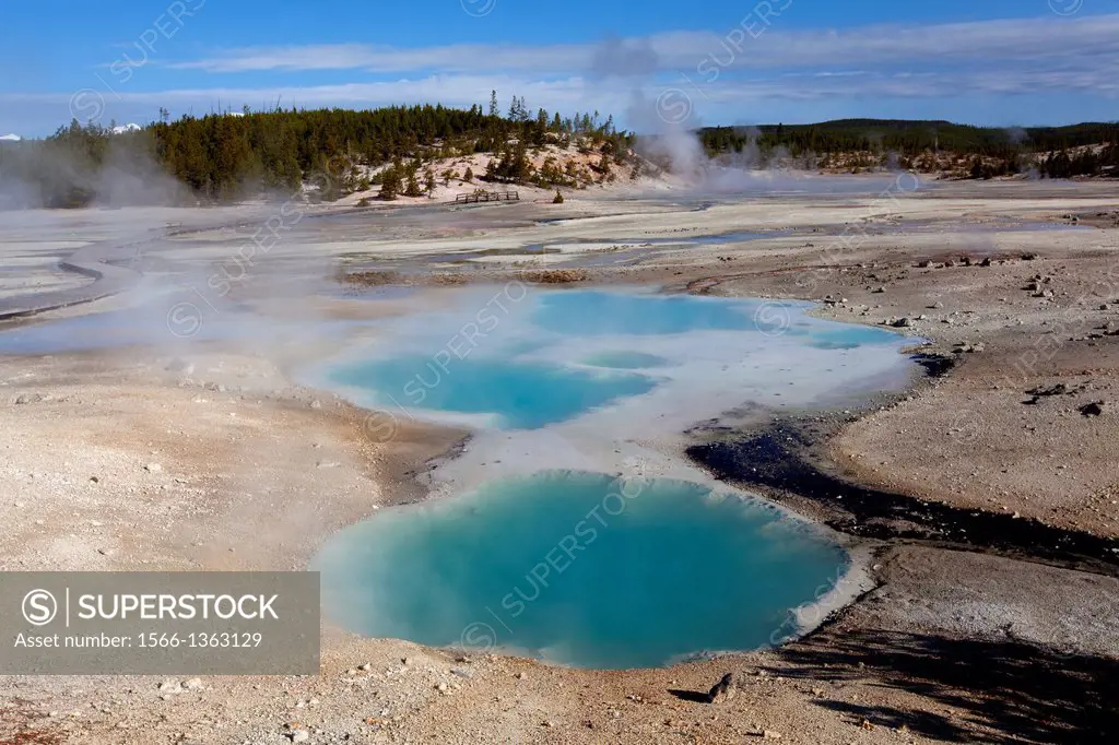 Norris Geyser Basin, Yellowstone National Park, Idaho, Montana and Wyoming, USA.