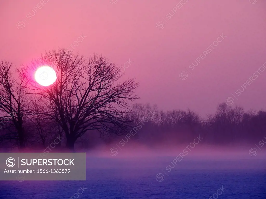 A pink sunrise, Pennsylvania, USA.