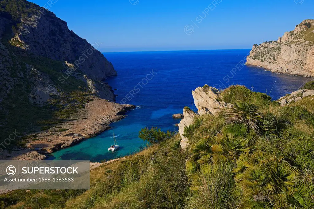 Cala Figuera, Cabo de Formentor, Formentor Cape, Serra de Tramuntana, UNESCO World Heritage Site, Mallorca Island, Majorca, Balearic Islands, Spain, E...