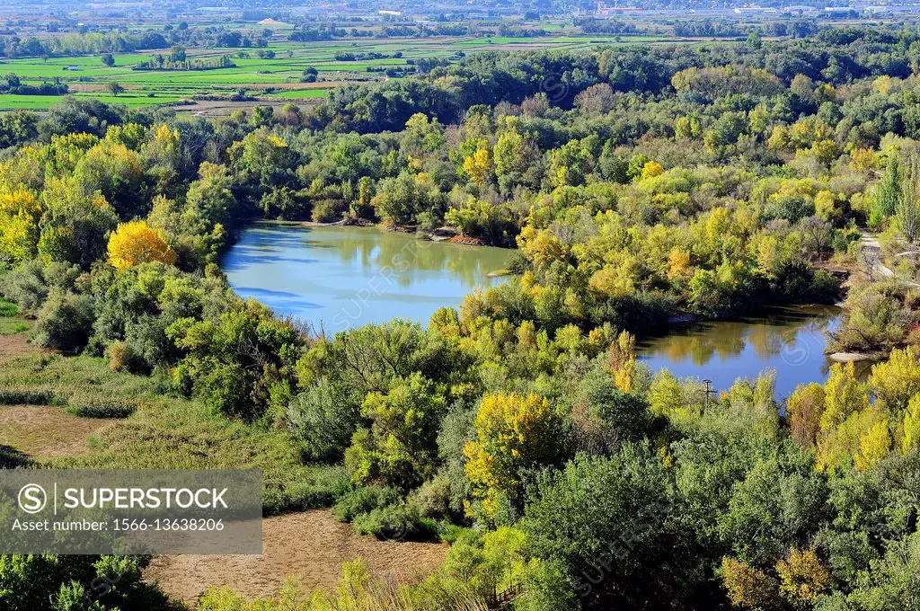 The Galacho of Juslibol is a natural site near of the river Ebro. Saragossa, Spain