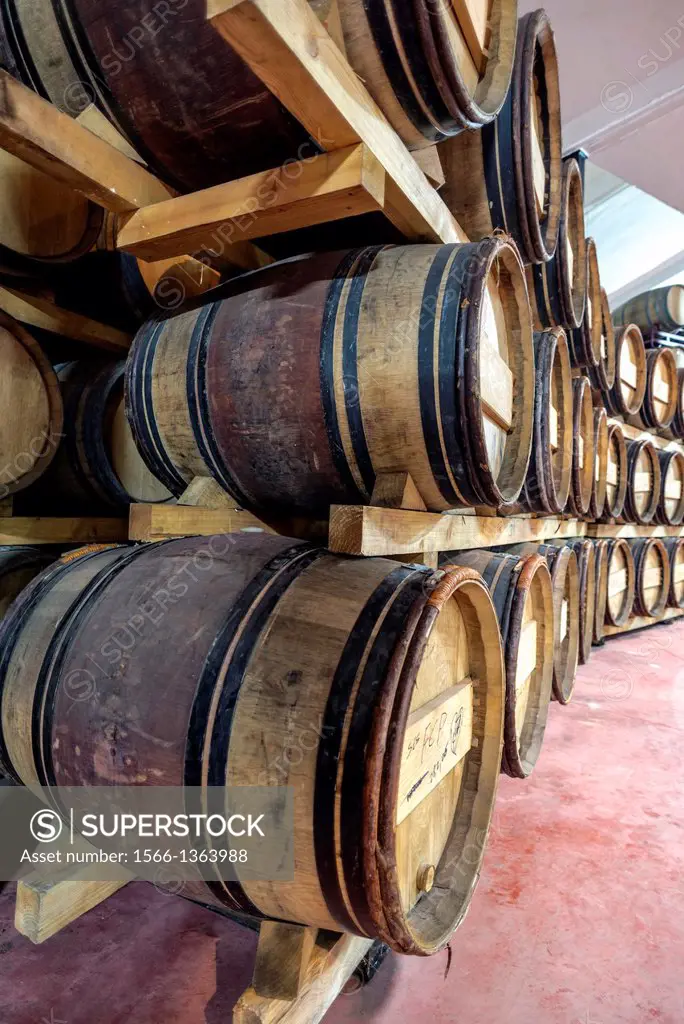 Winery barrels warehouse in Cariñena, Saragossa, Aragon, Spain