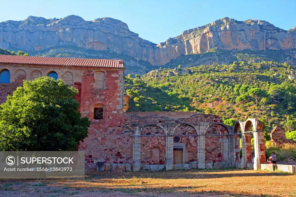 Remains of the cloister, Cartuja de Escaladei, Montsant mountains, La Morera de Montsant, Tarragona, Catalonia, Spain