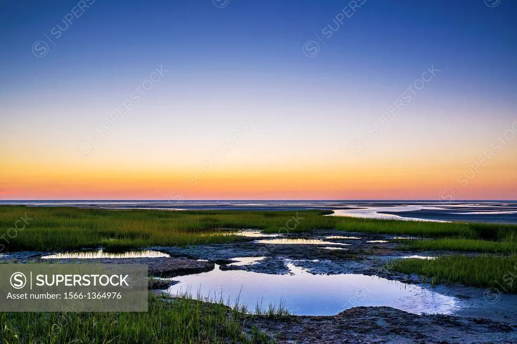 salt marsh tidal pools at low tide, Boat Meadow Beach, Eastham, Cape Cod, Massachusetts, USA.