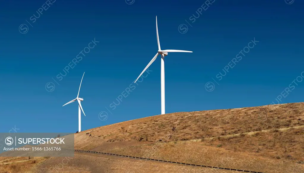 USA, Washington, Cle Elum. Wind farm, electrical power generating facility in the Kittitas Valley.