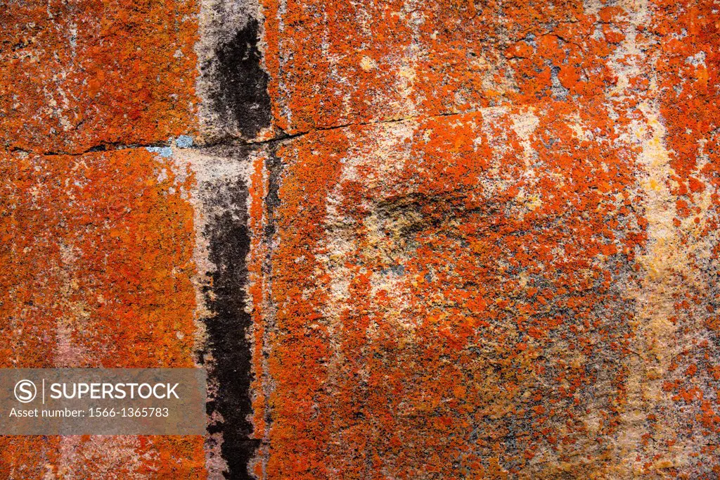 Salmanslaagte Bushman Rock Art Trail, Clanwilliam, Cederberg Mountains, Western Cape province, South Africa, Africa.