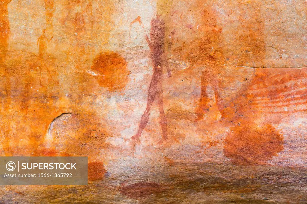 Human figures, Salmanslaagte Bushman Rock Art Trail, Clanwilliam, Cederberg Mountains, Western Cape province, South Africa, Africa.