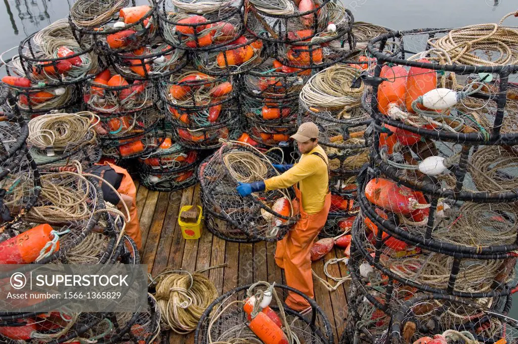 Young man on deck of commercial fishing boat preparing crab pots for next trip, Westport, Washington USA.