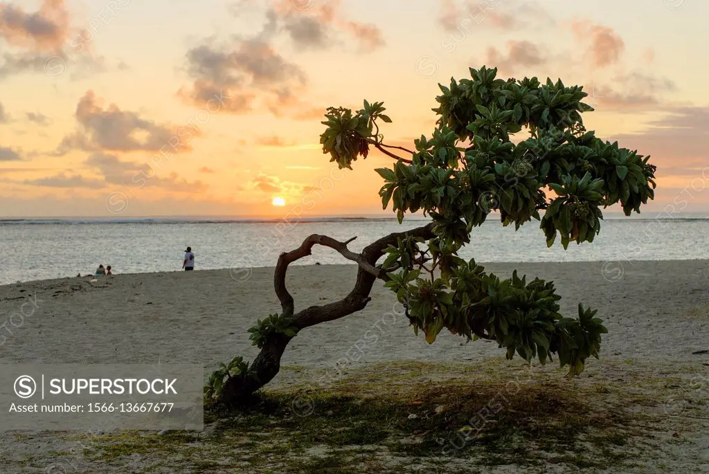Beach at dawn near Paradis Hotel & Golf Club, Mauritius, Indian Ocean, Africa