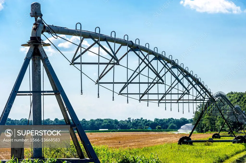 A pivot irrigation system for watering crops on a farm located in Federalsburg, Maryland.