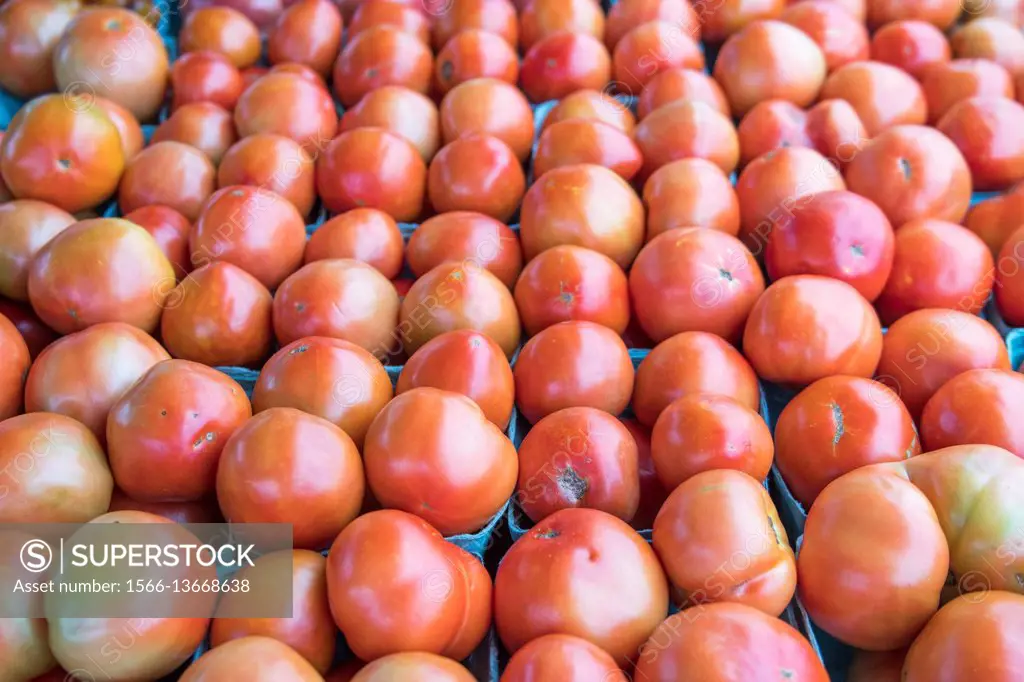 Locally grown, fresh tomatoes on display at a farmer's market in Baltimore, Maryland.