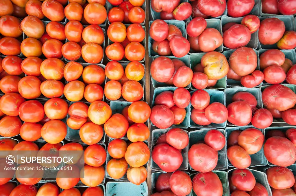 A vast selection of tomatoes are featured at a local farmer's market in Baltimore, Maryland.