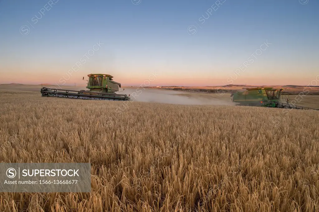 Combine harvesters work their way through a large field of barley during a harvest in Reardan, Washington.