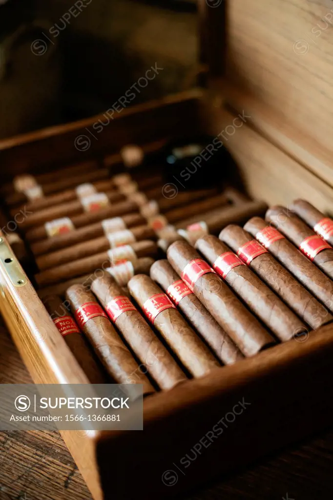 Cigars Partagas Serie D4. La Tupina. The greedy street. Bordeaux. Gironde. Aquitaine. France. Europe.
