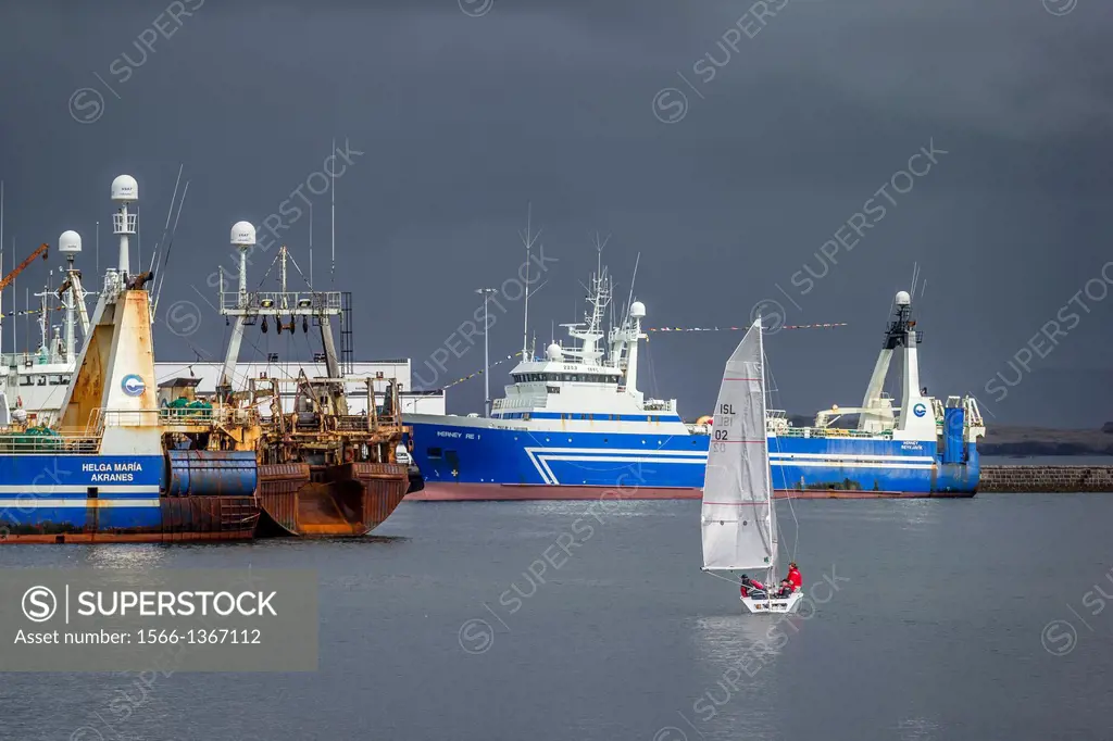 Sailboat with large fishing trawlers in Reykjavik Harbor, Reykjavik, Iceland.
