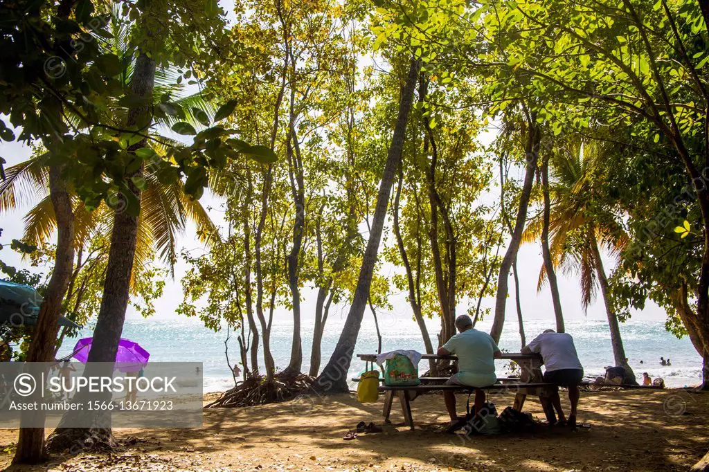 People sitting down at a picnic table with the ocean front of, at the beach Les Salines in Martinique.