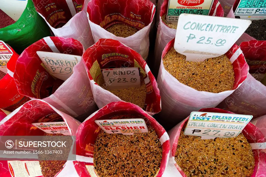 Sale of various Corn in Moalboal on Cebu Island, Philippines.