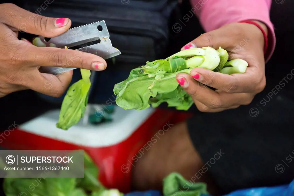 Market Woman´s Hand and Vegetables in Phnom Penh, Cambodia.