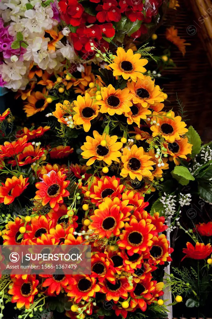Sunflowers on the Chatuchak Market in Bangkok.