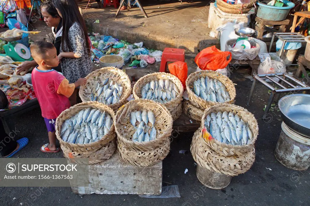 Sale of Fish on Market in Phnom Penh, Cambodia.