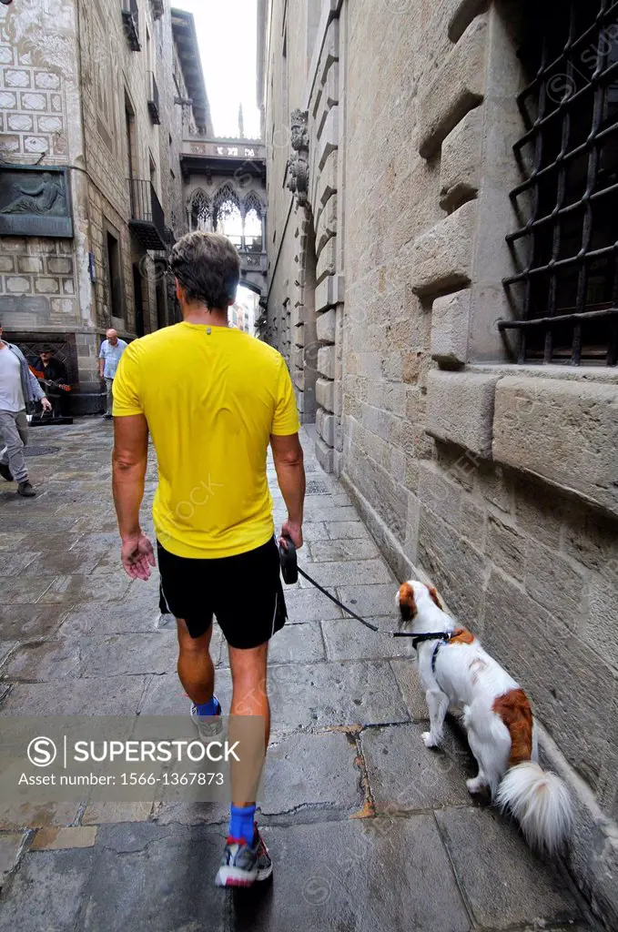 Man with dog at Carrer del Bisbe street, Gothic quarter, Barcelona, Catalonia, Spain