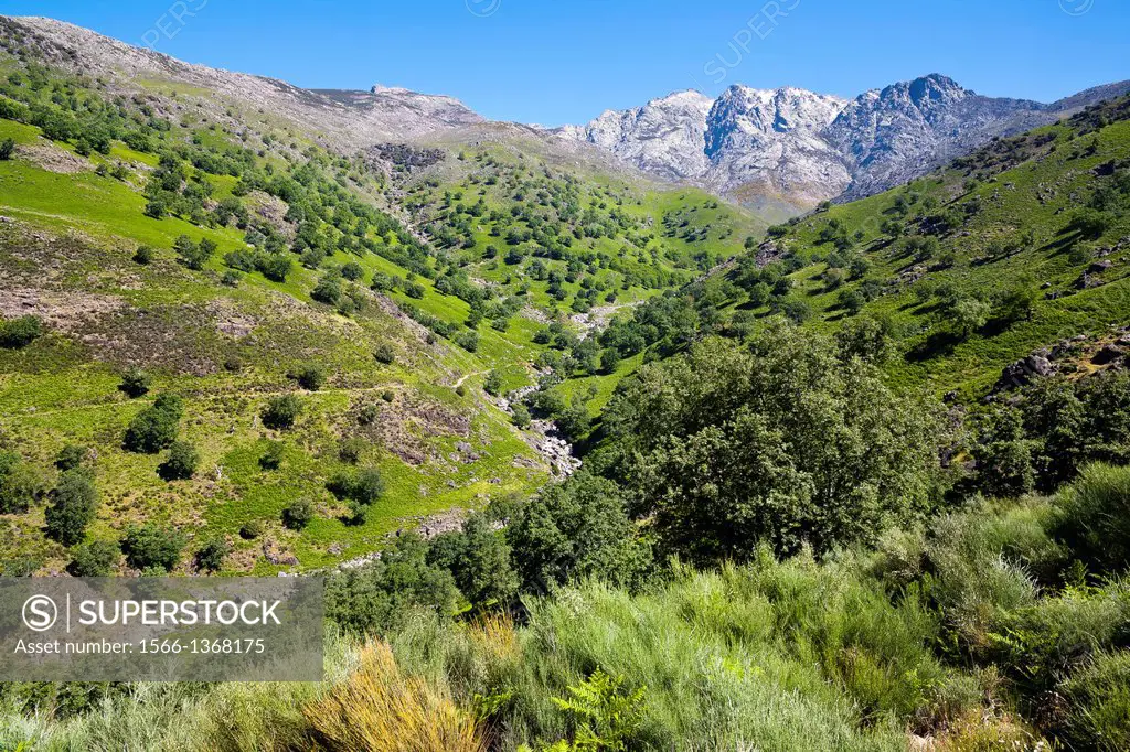 Chilla gorge in the Sierra de Gredos. Candeleda. Avila. Castilla Leon. Spain.