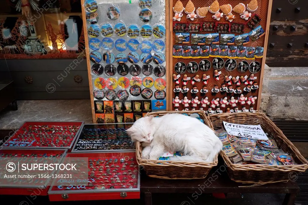 Sleeping cat in a souvenir shop in Taormina, Sicily, Italy