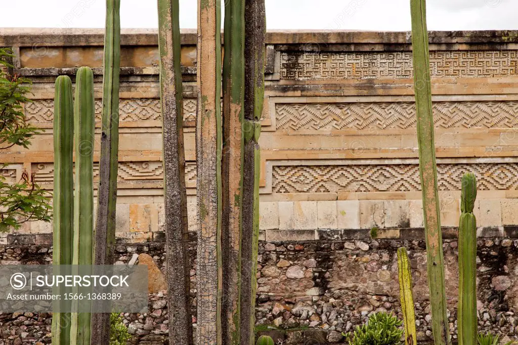 Cactus plants and Mixtecan constructions with their mosaic fretwork: Mitla Archaeological Site at Oaxaca, Mexico.