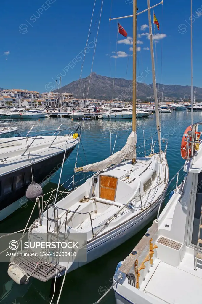 Marbella, Costa del Sol, Malaga Province, Andalusia, southern Spain. Puerto Jose Banus. Jose Banus port. View across port to La Concha mountain.