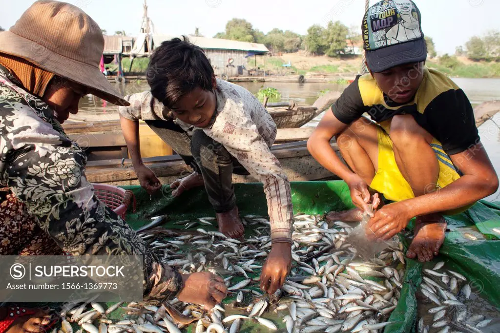 Fisherman sort through a meager catch on the Mekong River early in the morning outside of Phnom Penh, Cambodia.