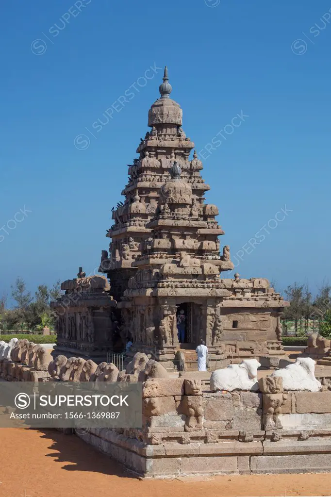 India , Tamiol Nadu State , Mamallapuram City, The Shore Temple (W.H.)