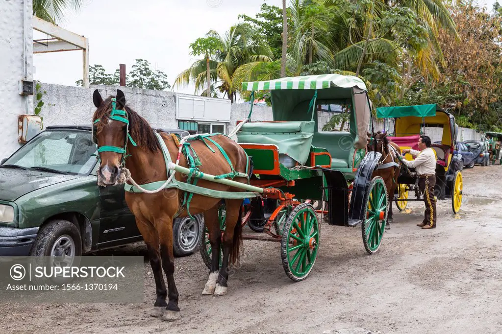Horse and buggy tours in Cozumel, Mexico