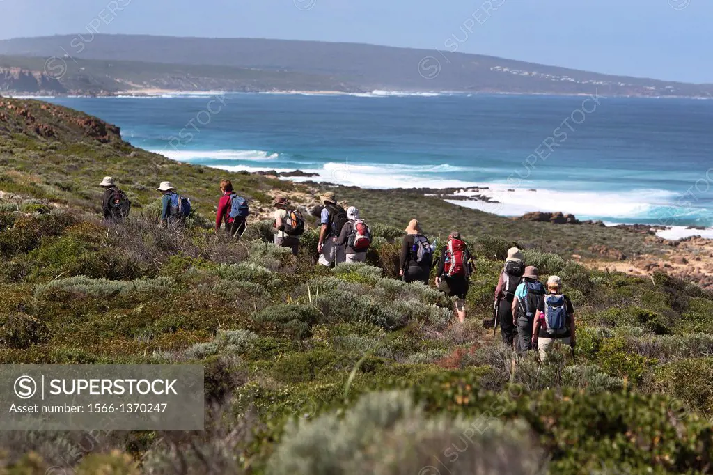 Bushwalking group along the Cape to Cape Track, near Margaret River. Southwest Western Australia.