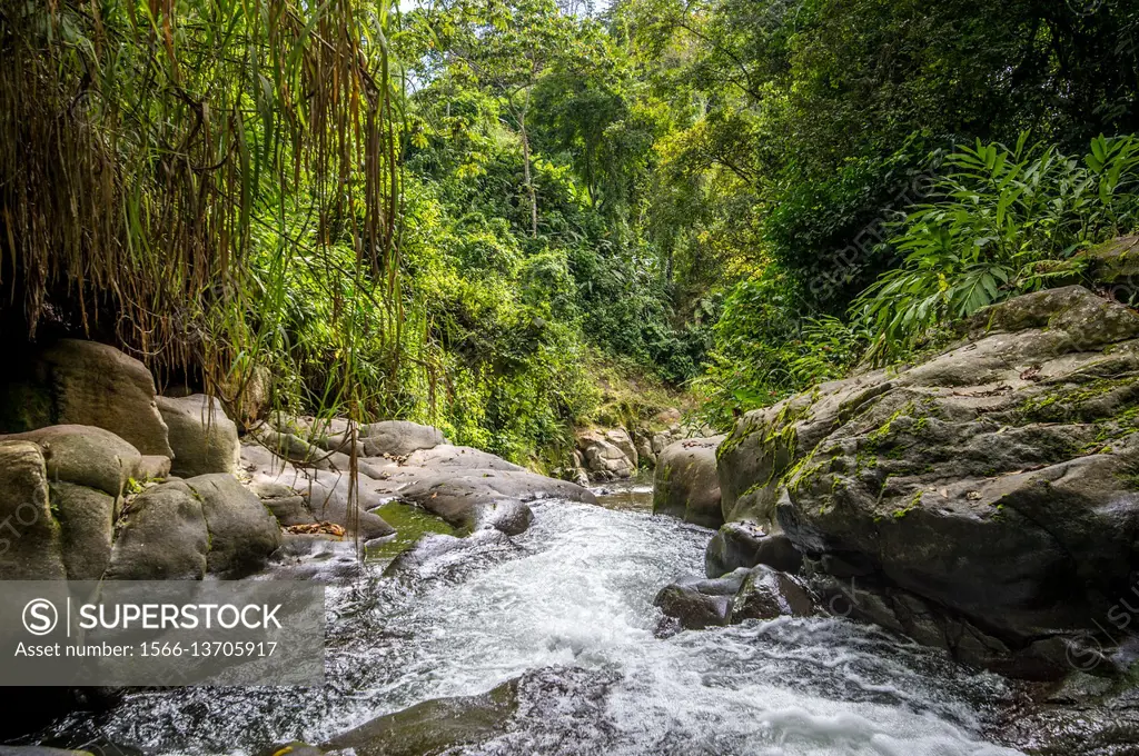 View of the Aquires river moving through the Costa Rican jungle in Aquires, Costa Rica.