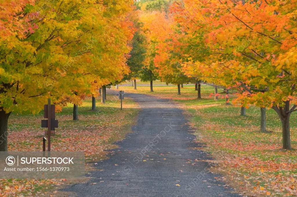 Autumn lane, Northwest Park, Windsor, Connecticut