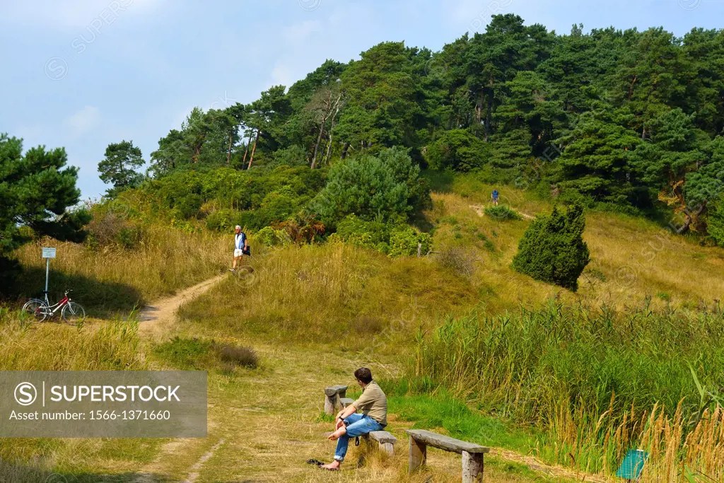Weisser Berg hiking track at Luetow, Usedom Island, Germany.