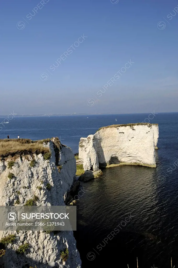 Old Harry Rocks Jurassic Coast Isle of Purbeck Dorset England.