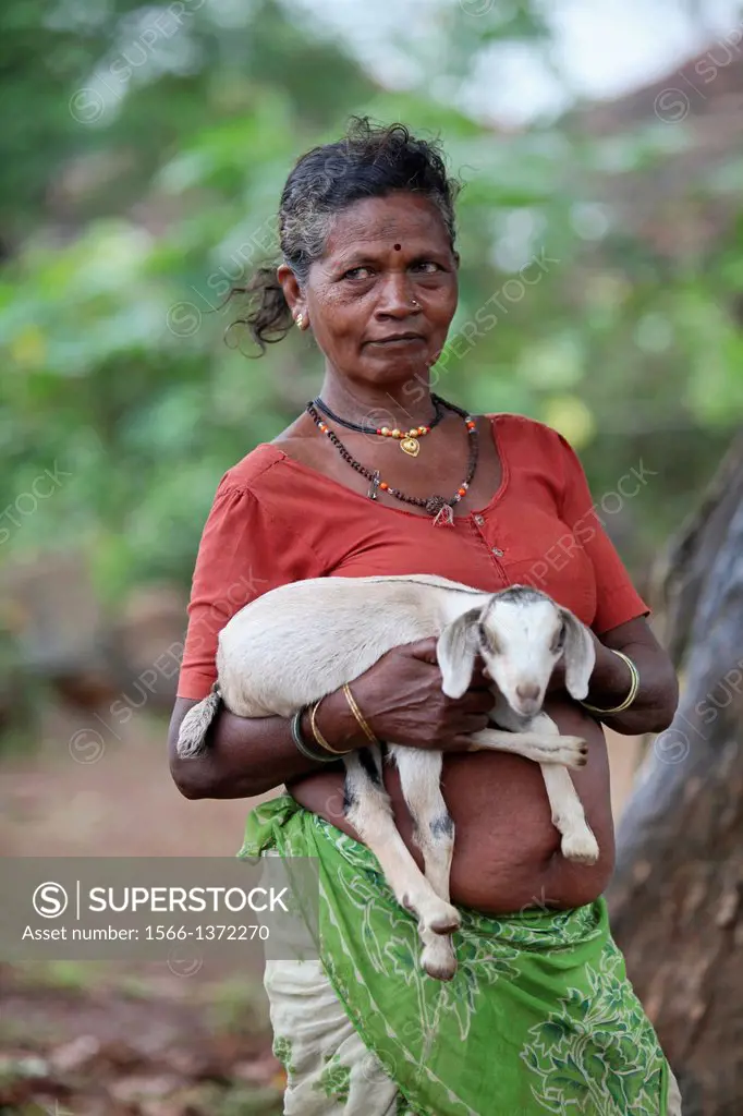 Katkari tribal woman holding a young goat in her hand, Maharashtra, India. The Katkari are an Indian Hindu community mostly belonging to the state of ...