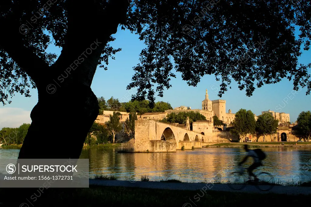 View of Pont d´Avignon (or Pont St Benezet) and Rhone river towards the Papes Palace in the early evening, Avignon city, in Provenza-Alpes-Cotes d´Azu...