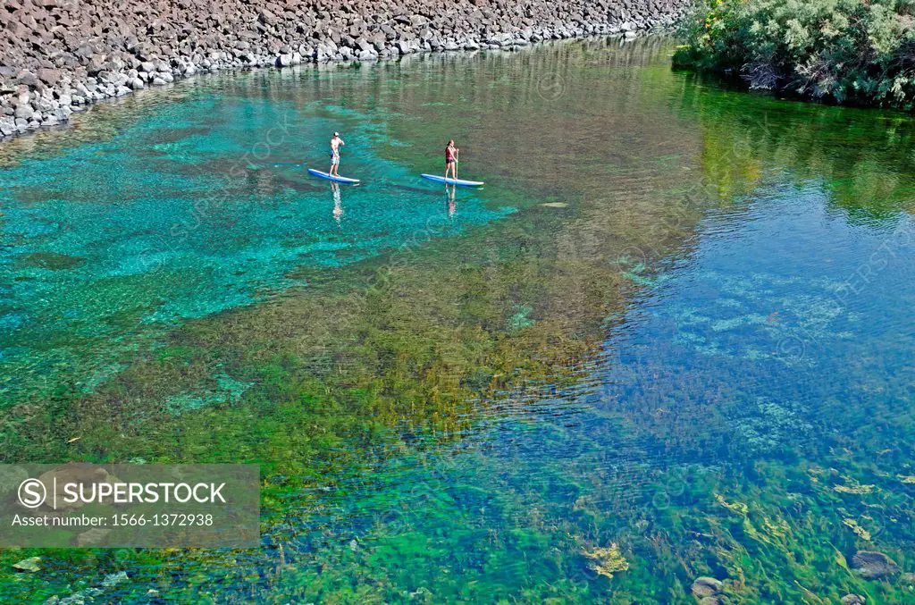 Riding the Standup Paddle Board at Blue Heart Spring in the Snake River Canyon near the city of Hagerman in southern Idaho.