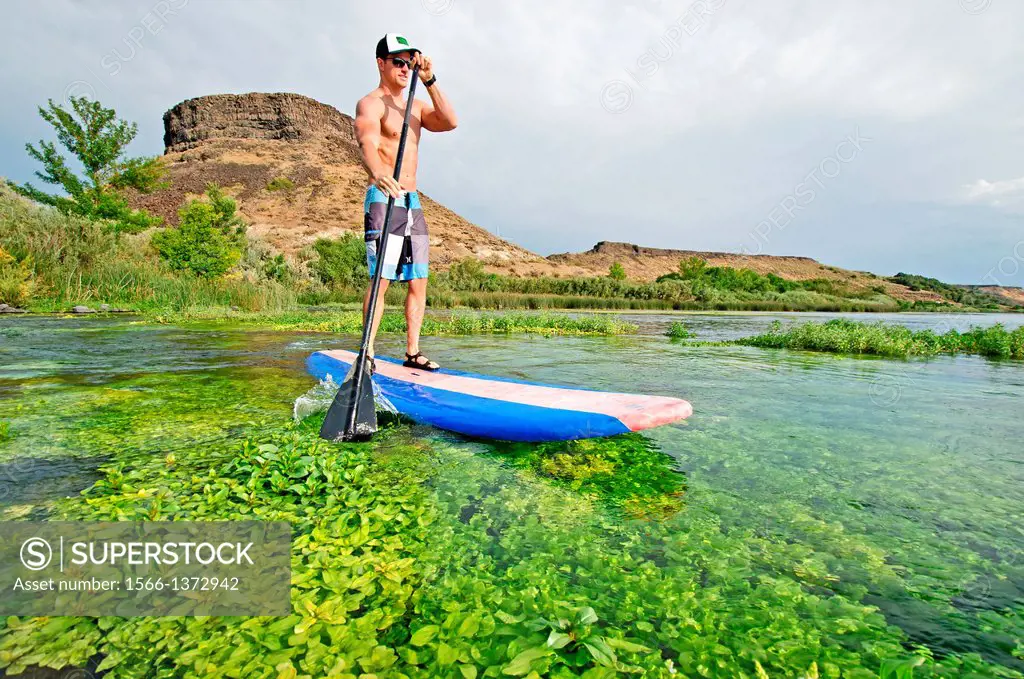 Riding the Standup Paddle Board at Box Canyon on the Snake River in the Snake River Canyon near the city of Hagerman in southern Idaho.