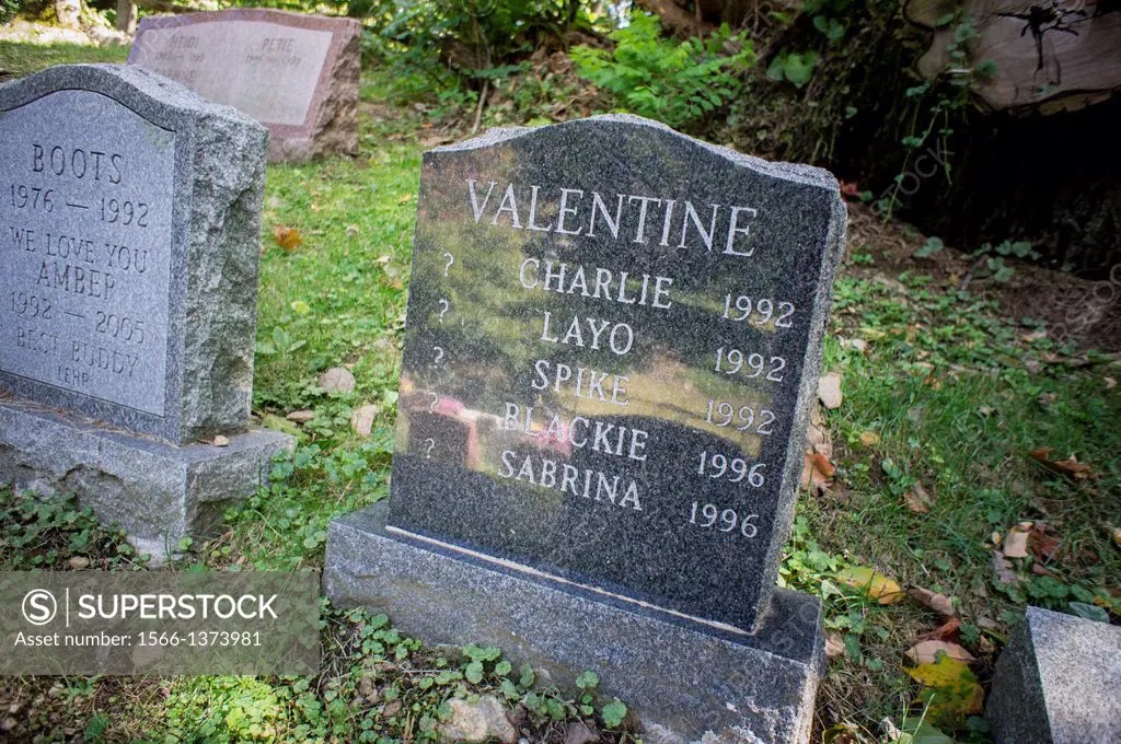 Gravestones for owners´ beloved pets in the Hartsdale Pet Cemetery in Hartsdale in Westchester County New York State. The Hartsdale Pet Cemetery is th...