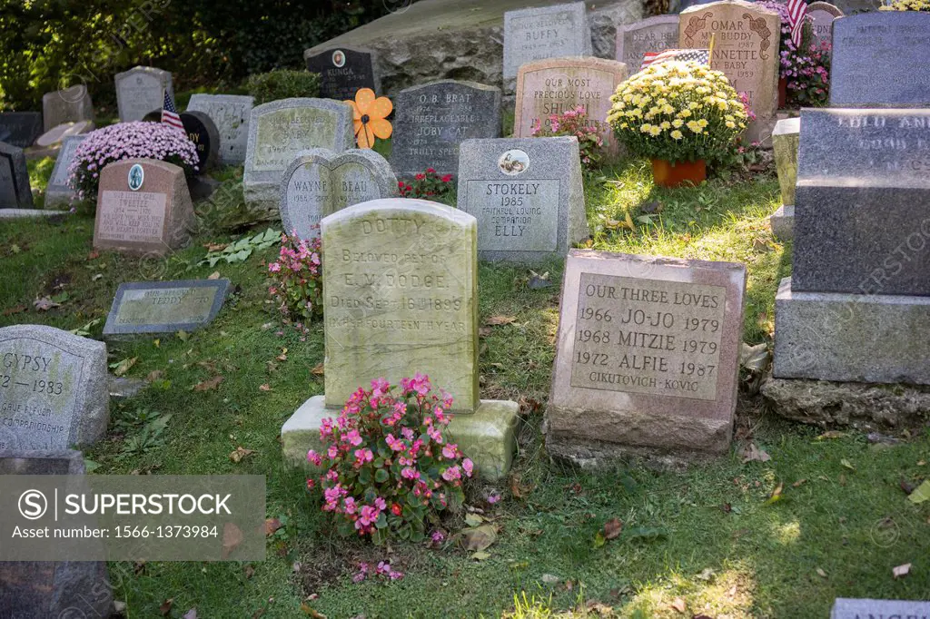 Oldest known gravestone in the cemetery dating to 1899. Gravestones for owners´ beloved pets in the Hartsdale Pet Cemetery in Hartsdale in Westchester...