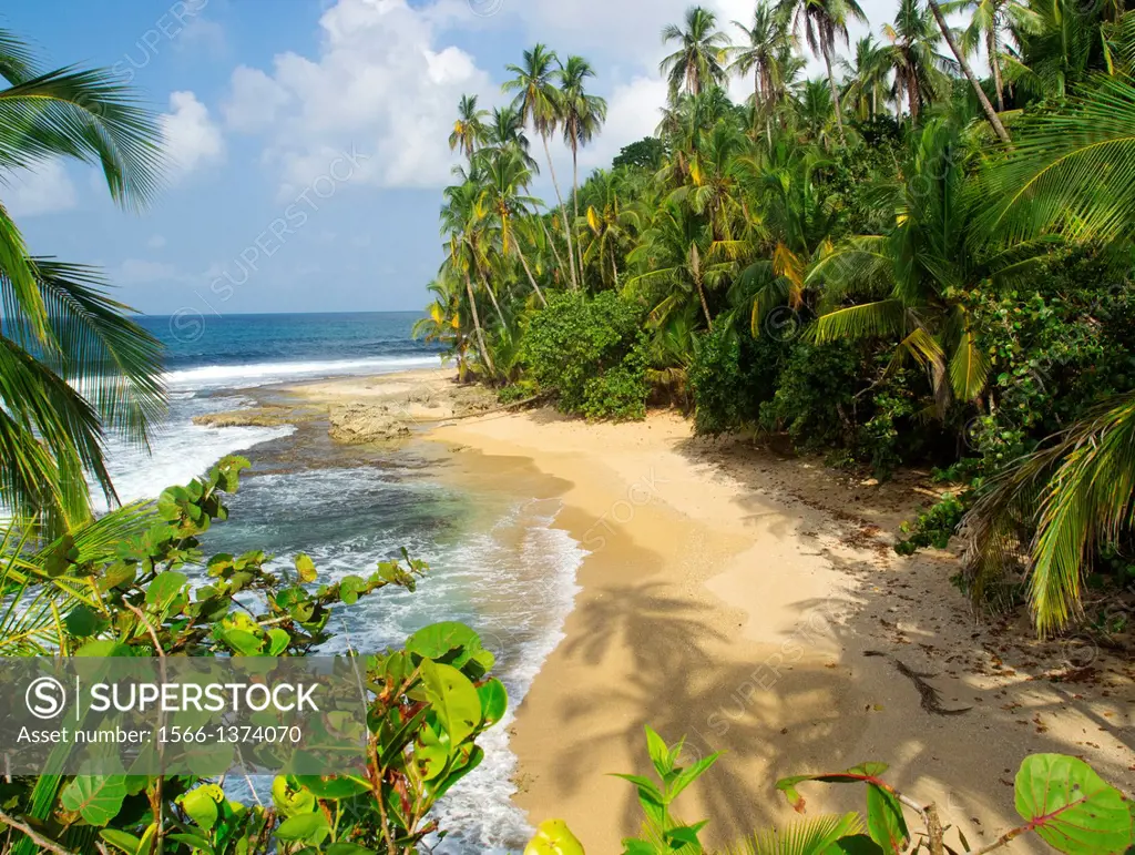 Caribbean sea beach Costa Rica