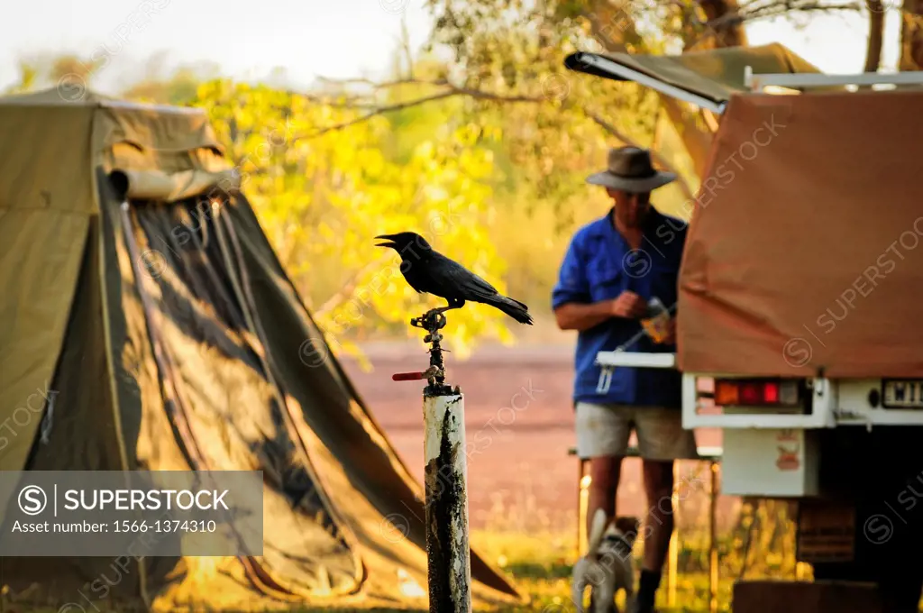 Dunmara Roadhouse and Campsite, The Stuart Highway, Northern Territory, Australia, Oceania.