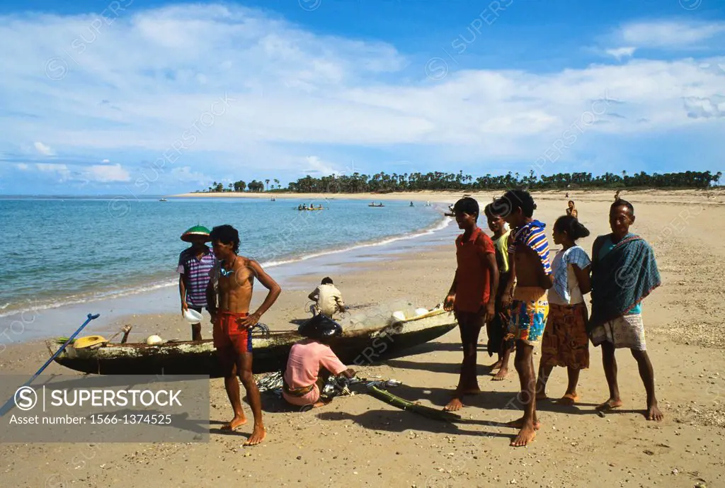 INDONESIA, SAWU (SEBA) ISLAND FISHERMEN SORTING CATCH ON BEACH.
