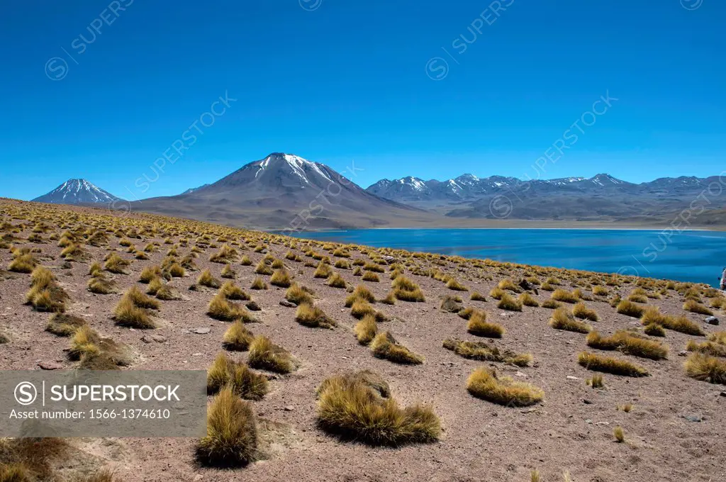 View of Miscanti volcano 5640 m (18,504 ft.) and Miscanti lagoon in the Los Flamencos National Reserve near San Pedro de Atacama in the Atacama Desert...