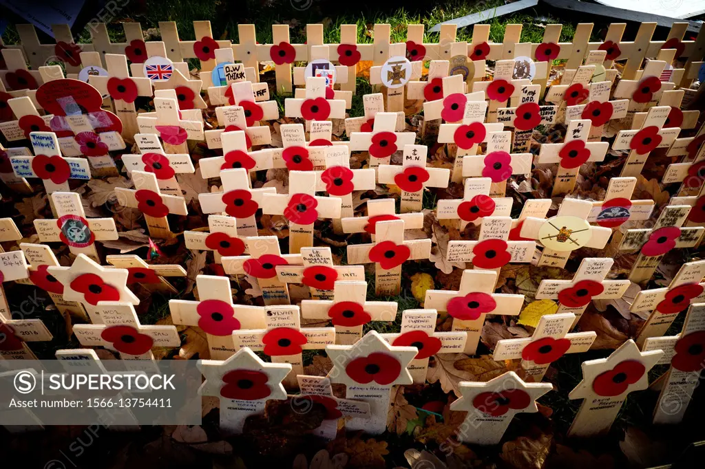 Artificial Poppy flower UK. War Memorials. Harrogate, North Yorkshire, England, UK